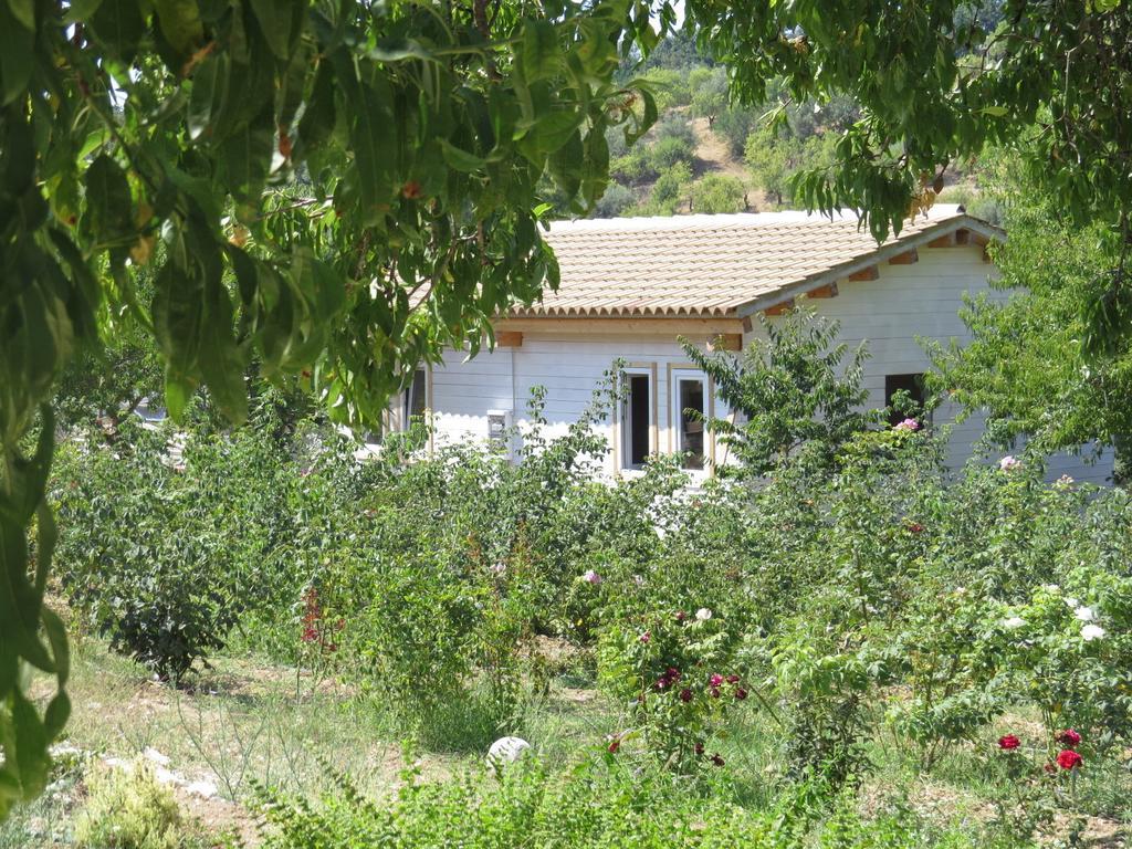 Camping Fiori Di Νότο Δωμάτιο φωτογραφία