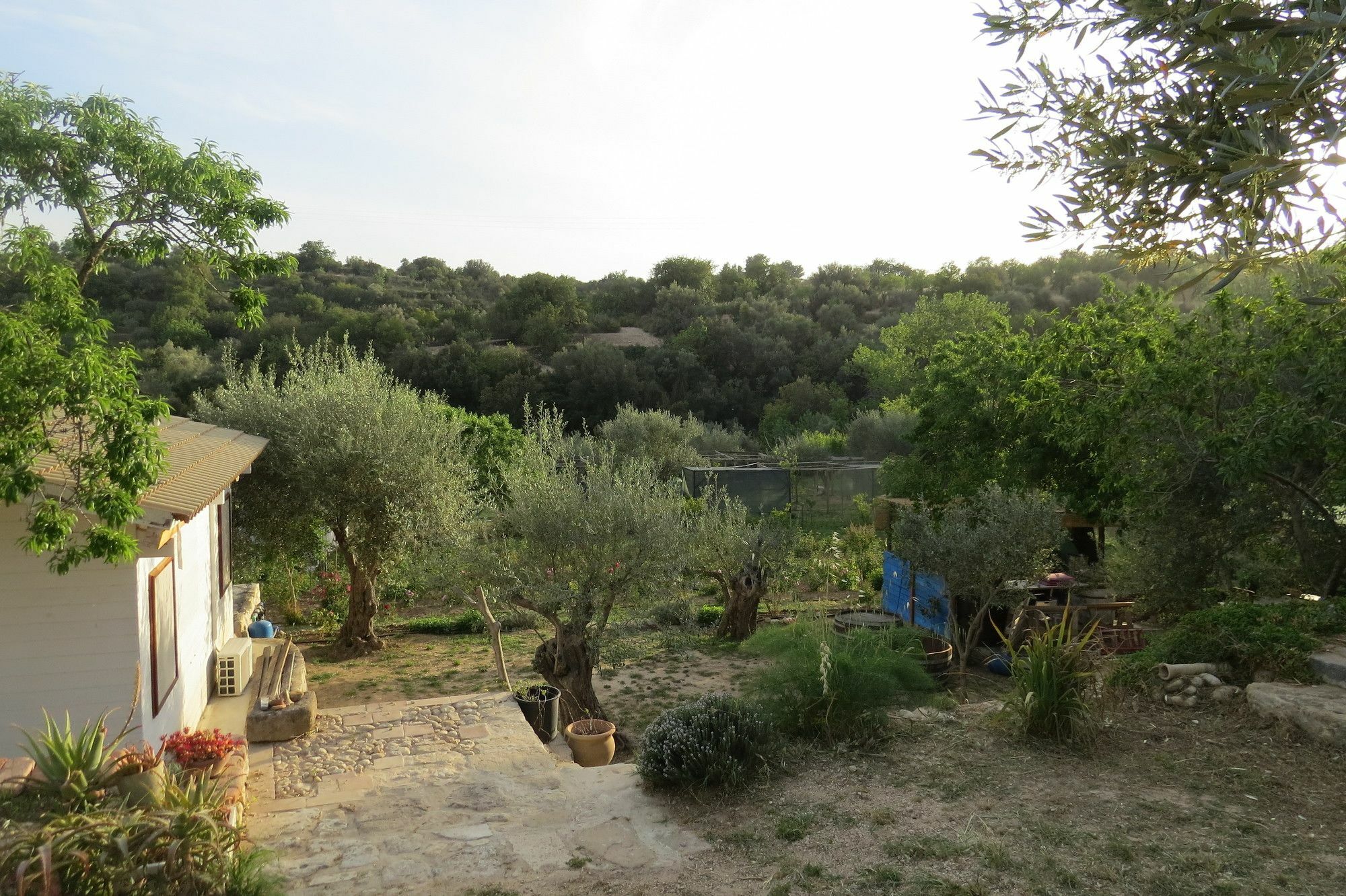 Camping Fiori Di Νότο Εξωτερικό φωτογραφία
