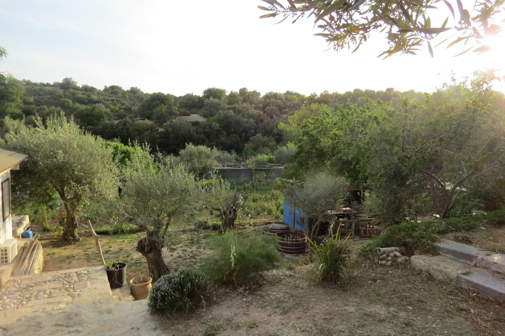 Camping Fiori Di Νότο Εξωτερικό φωτογραφία