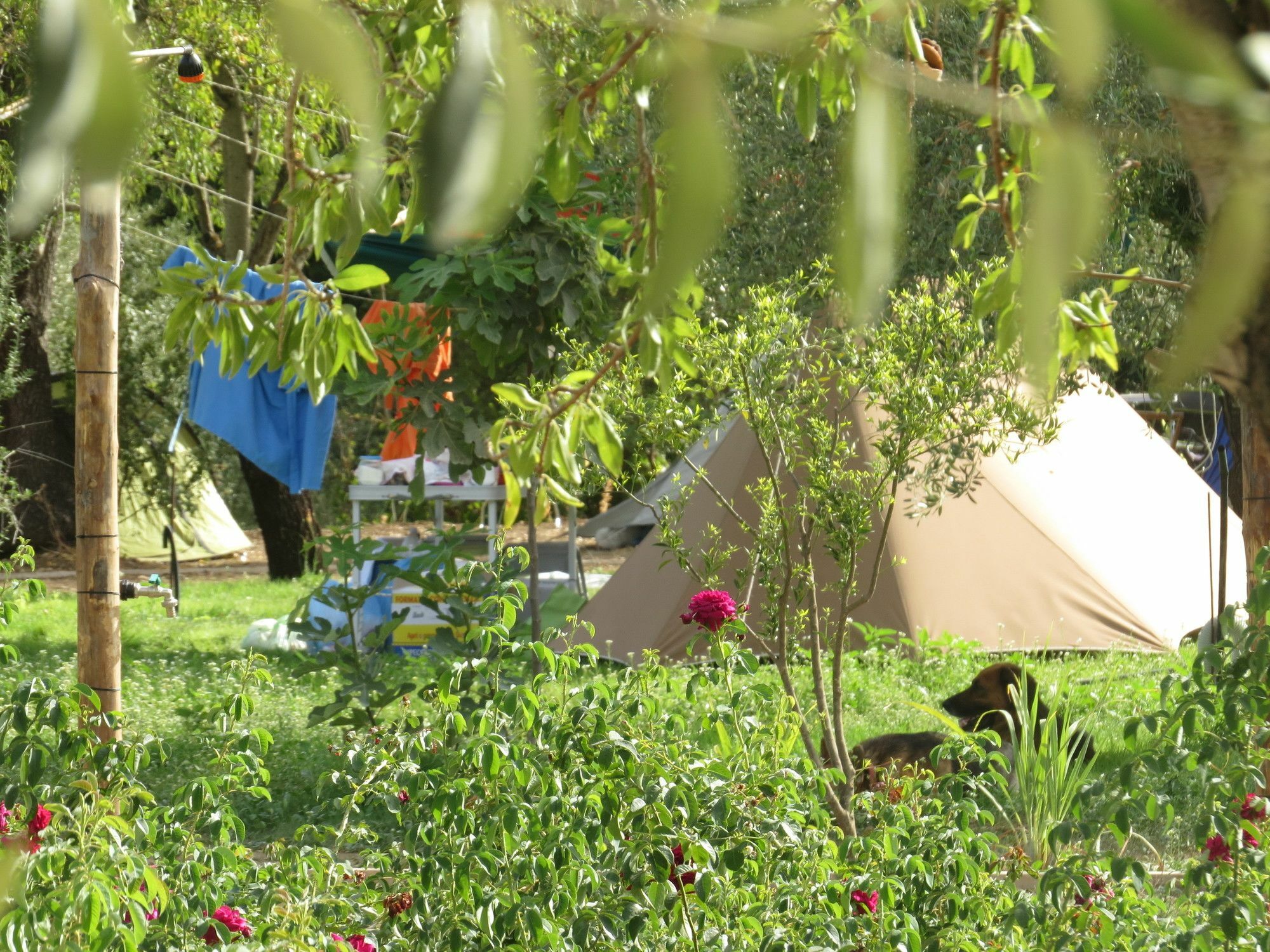 Camping Fiori Di Νότο Εξωτερικό φωτογραφία