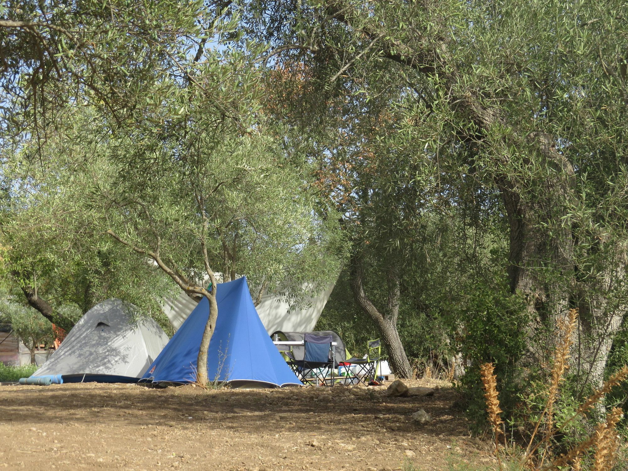 Camping Fiori Di Νότο Εξωτερικό φωτογραφία